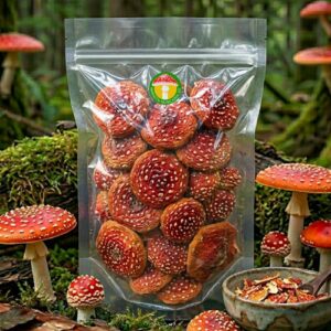 🔥💥ALLAHINDLUS! Punane kärbseseen (100 gr.)