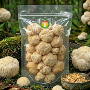 Lõvilakk (Lion's mane) - (50 gr.)