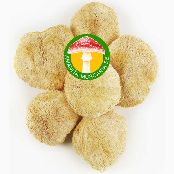 Leijonanharja (Lion's mane) - (50 gr.)