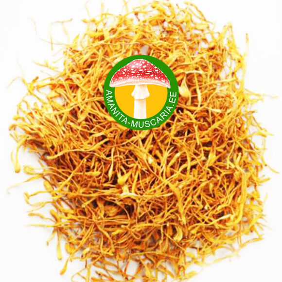Cordyceps (Cordyceps militaris) - (100 gr.)