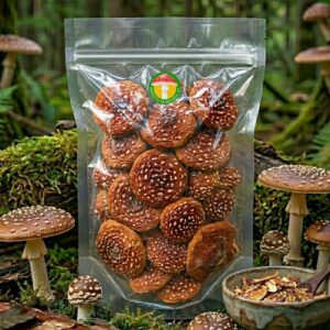 Kuninglik kärbseseen PREMIUM (50 gr.)