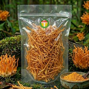 Кордицепс милитарис (плодовое тело) PREMIUM (Cordyceps militaris) - (20 гр.)